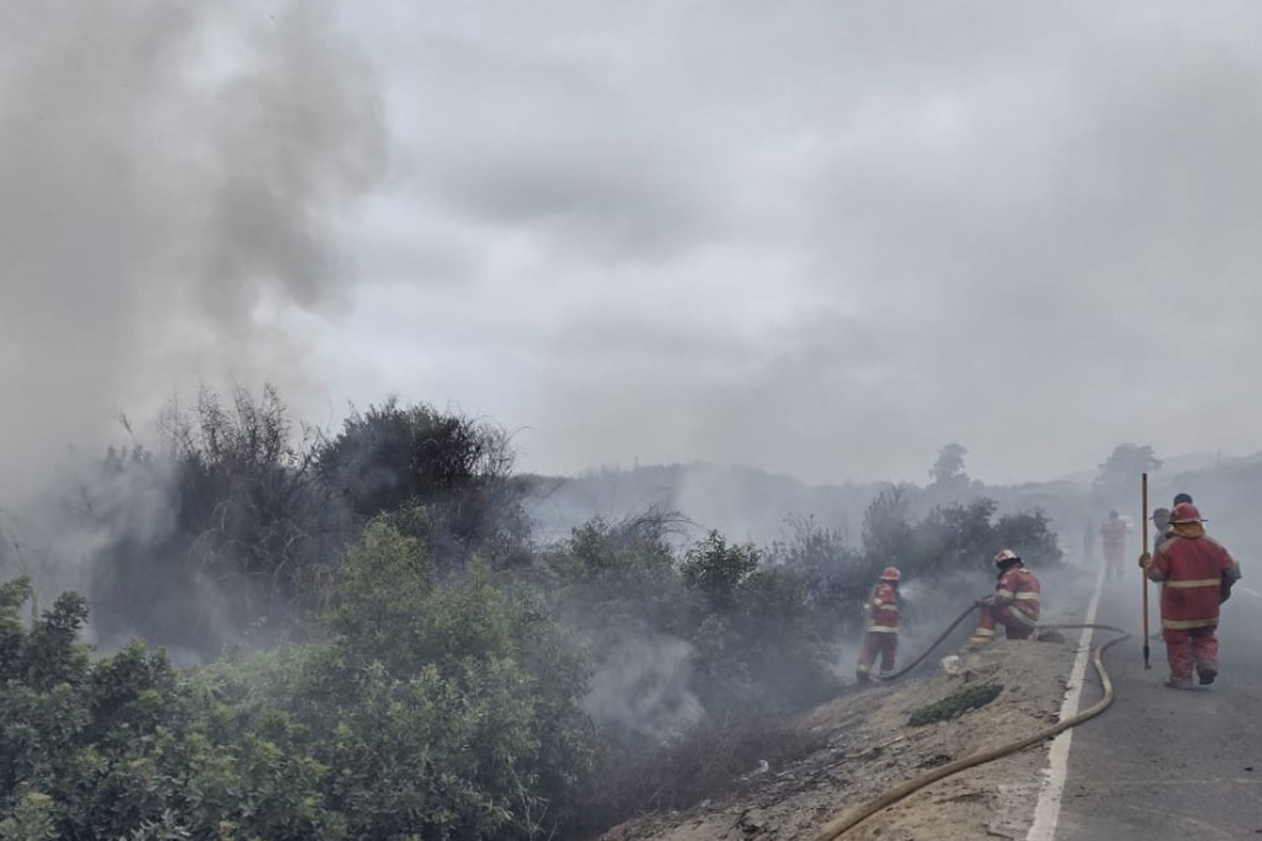 El Centro de Operaciones de Emergencia Regional informó que el siniestro ocurrió en la jurisdicción del centro poblado La Capilla. Foto: ANDINA/Difusión