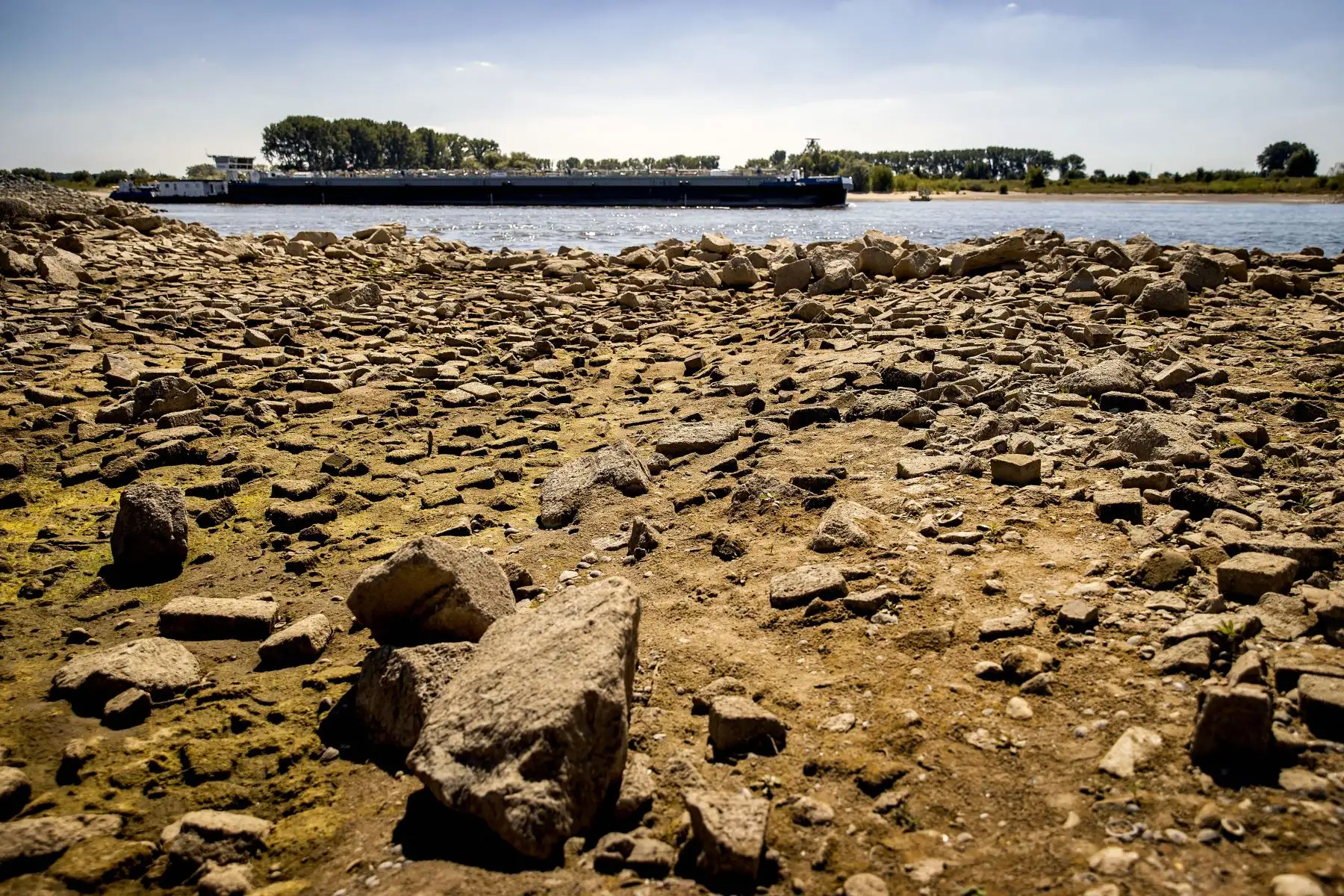 Barcos navegando mientras los embalses se secan a lo largo del Rin. La navegación interior está experimentando un obstáculo considerable debido a los bajos niveles de agua, lo que significa que se pueden transportar menos contenedores en una gran parte del Rin en Alemania. 
Foto: AFP