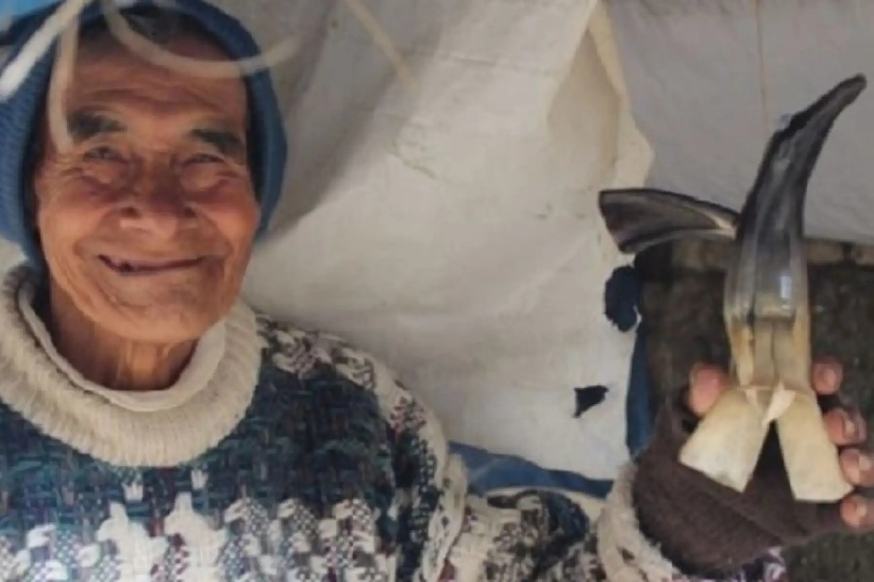 Beneficiario del Programa Nacional de Asistencia Alimentaria Pensión 65, Emilio Bruno Hinostroza Palacios, de 73 años, es el artesano más risueño y optimista del Valle del Mantaro y crea bonitos adornos con las astas del toro en el distrito de Apata, provincia de Jauja, departamento de Junín.