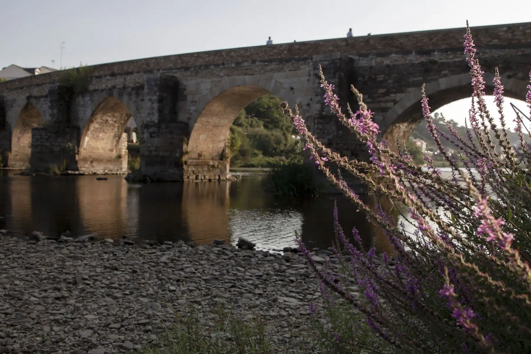 Después de varios meses sin ver llover, el caudal del río Miño ha ido disminuyendo hasta niveles mínimos, quedando casi vacío en Lugo. Los niveles del agua no alcanzan los 50 cm. En la imagen, Puente Romano de Lugo con el caudal muy bajo. 
Foto: EFE