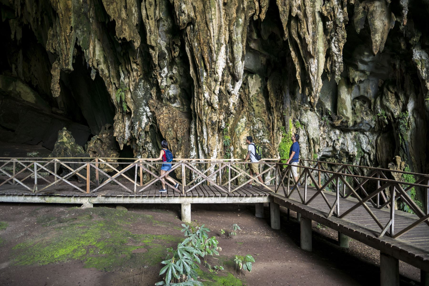 Cueva de las Lechuzas en Tingo María de la región Huánuco.
Foto: PROMPERU