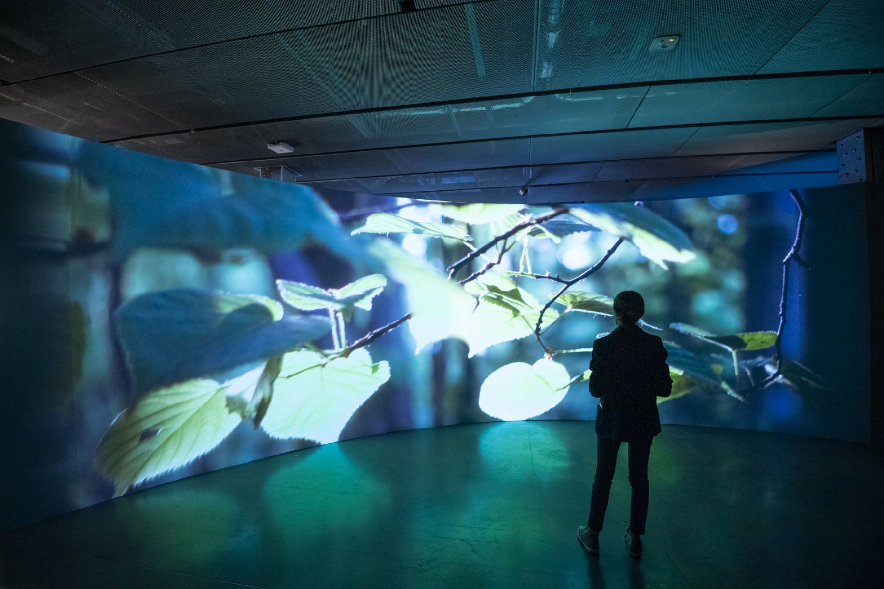 Presentan exposición de arte digital "Paisajes de Luz" contra el cambio climático