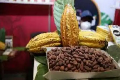 ExpoAmazónica también presentará la plataforma de Eco y Bionegocios del Minam, la cual conecta a las 115 empresas sostenibles a escala nacional, de los rubros de alimentación, cosmética natural y ecoturismo, entre otros.
