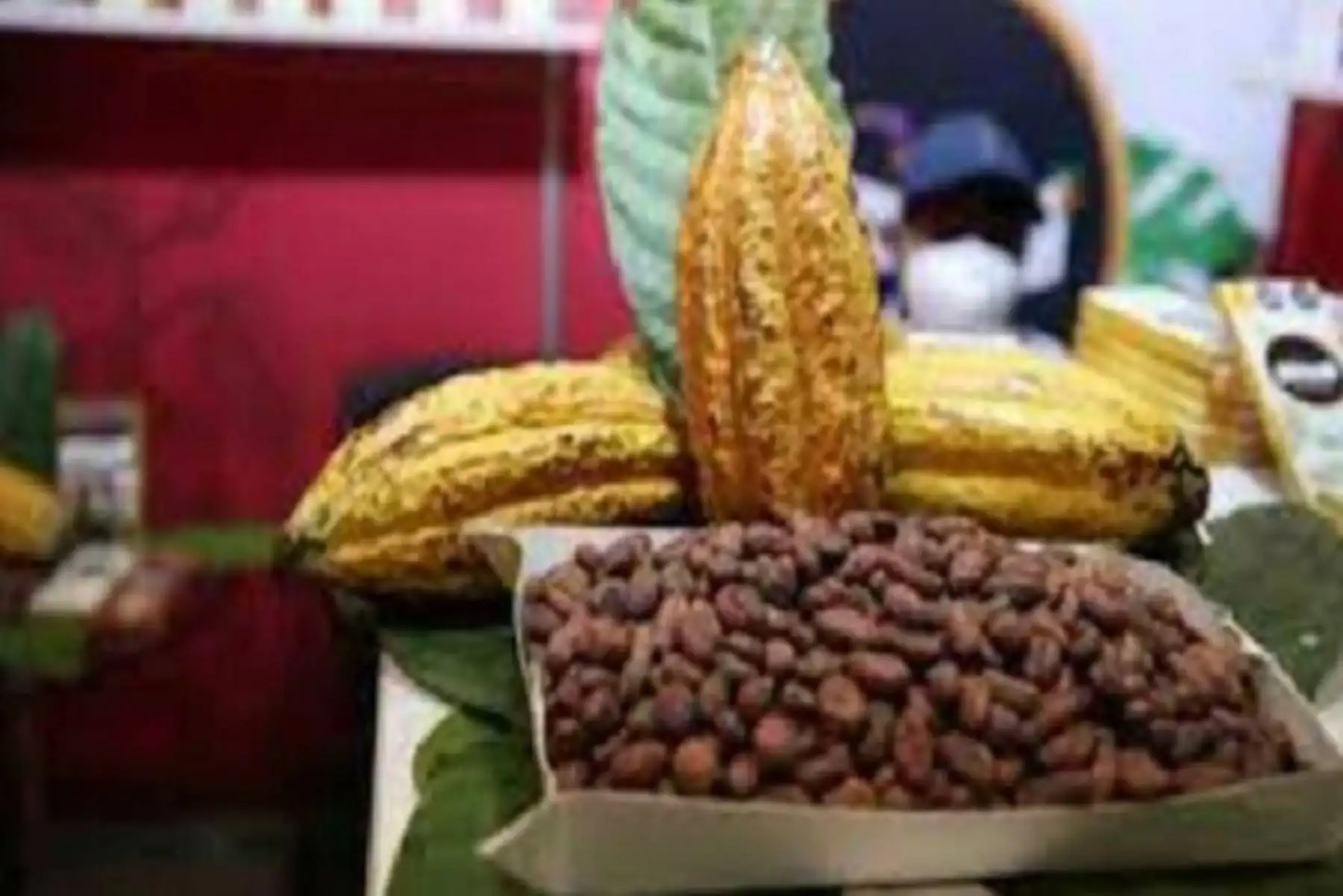 ExpoAmazónica también presentará la plataforma de Eco y Bionegocios del Minam, la cual conecta a las 115 empresas sostenibles a escala nacional, de los rubros de alimentación, cosmética natural y ecoturismo, entre otros.