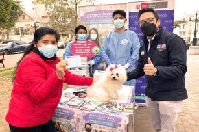 Más de 220,000 canes serán vacunados contra la rabia en distritos de Lima Sur. Foto: ANDINA/difusión.