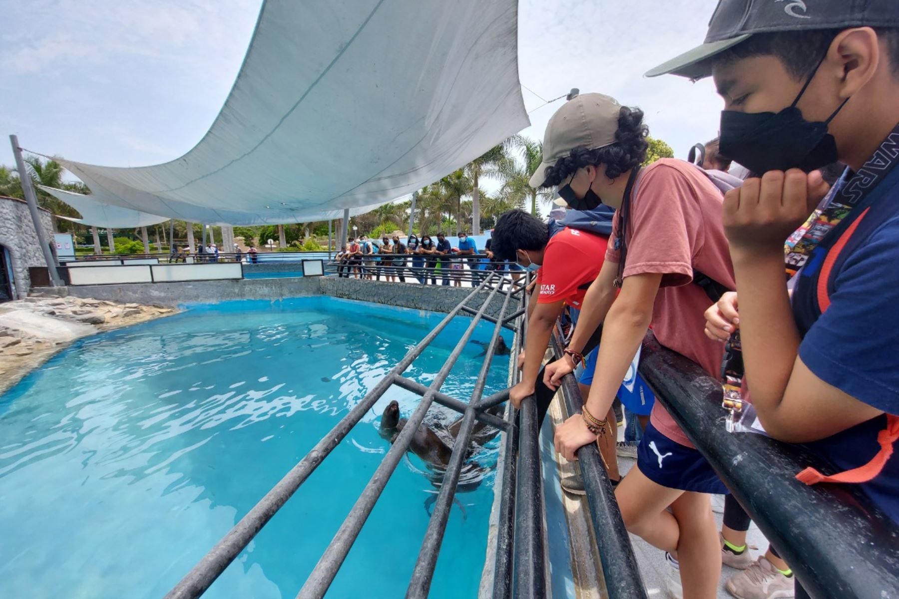 El Parque de las Leyendas ofrece diversas actividades gratuitas en el Día del Niño: Foto: ANDINA/Difusión