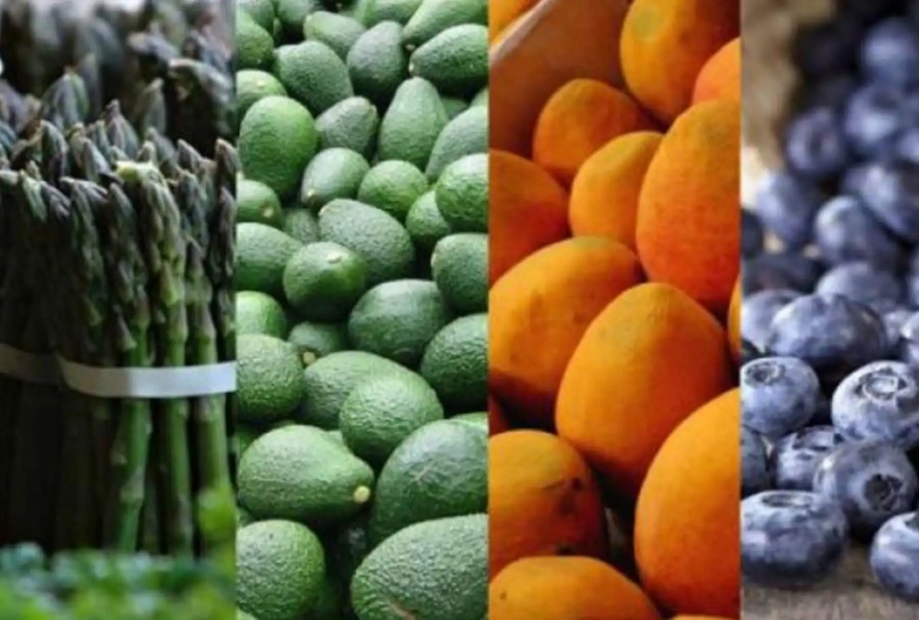 El departamento de La Libertad exportó 574 millones de dólares en productos agropecuarios en el primer semestre del 2022, cifra que significó un 19 % más en comparación al mismo periodo del 2021, según el reporte del Ministerio de Comercio Exterior y Turismo