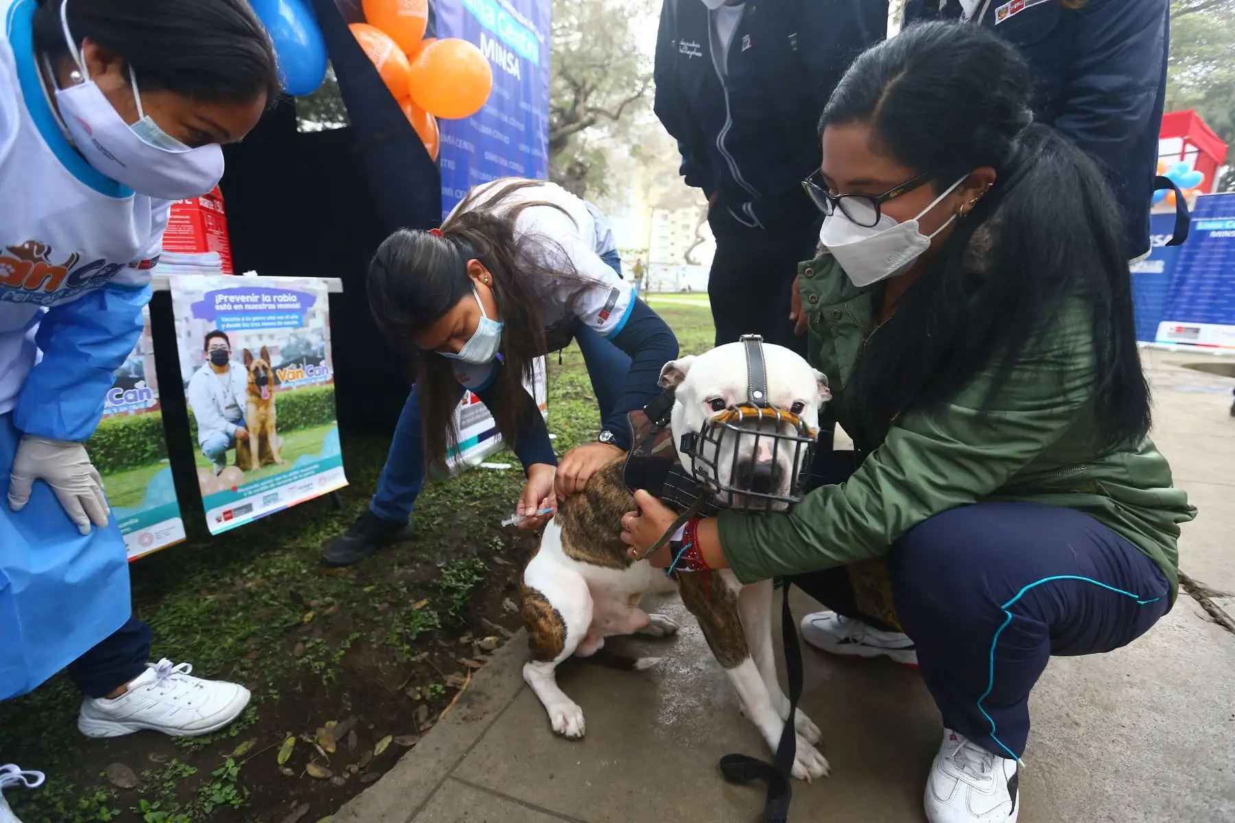 Con la finalidad de evitar la enfermedad de la rabia en canes y su transmisión a las personas y a otros animales susceptibles, el Ministerio de Salud (Minsa) realiza el lanzamiento de la campaña de vacunación antirrábica canina “Van Can 2022”, bajo el lema: “Perros felices y sin rabia”.
Foto: ANDINA/Eddy Ramos