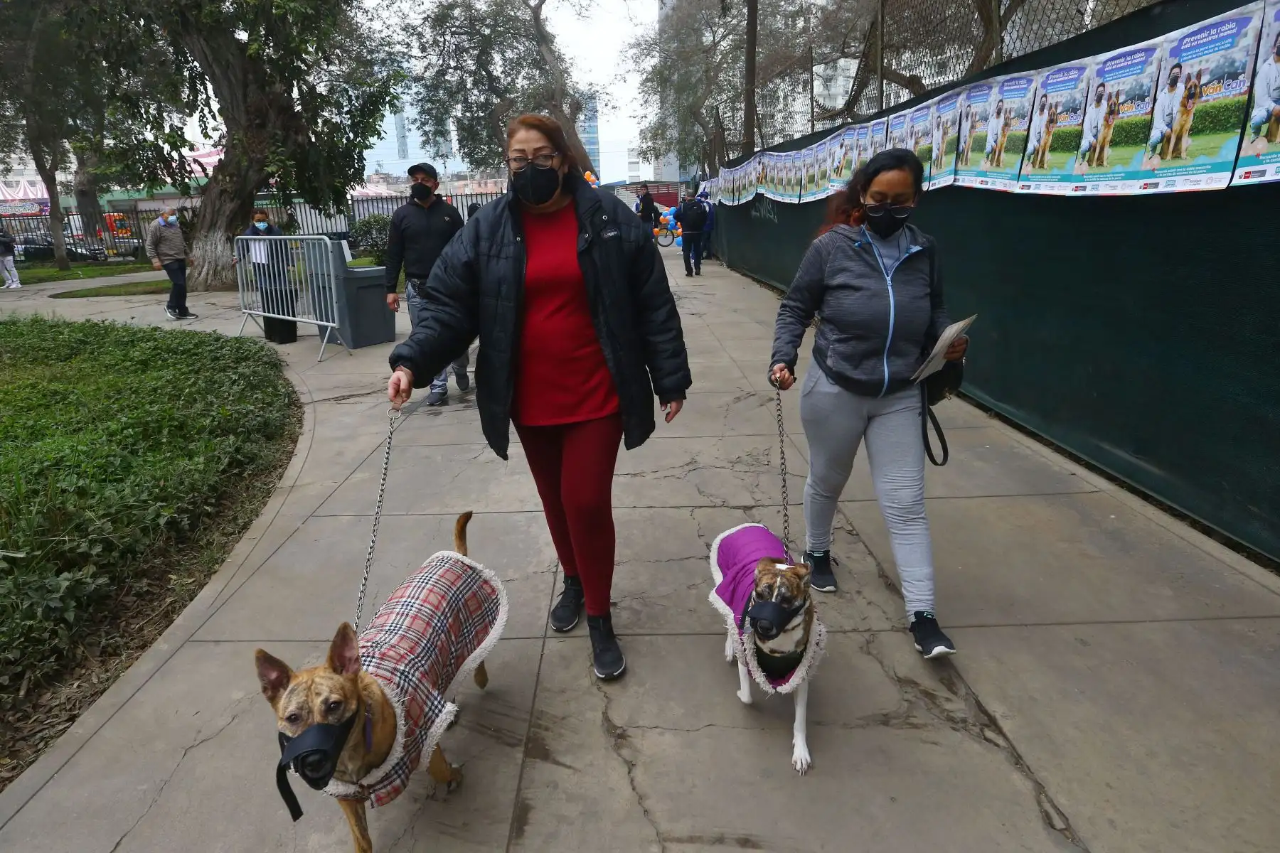 Con la finalidad de evitar la enfermedad de la rabia en canes y su transmisión a las personas y a otros animales susceptibles, el Ministerio de Salud (Minsa) realiza el lanzamiento de la campaña de vacunación antirrábica canina “Van Can 2022”, bajo el lema: “Perros felices y sin rabia”.
Foto: ANDINA/Eddy Ramos