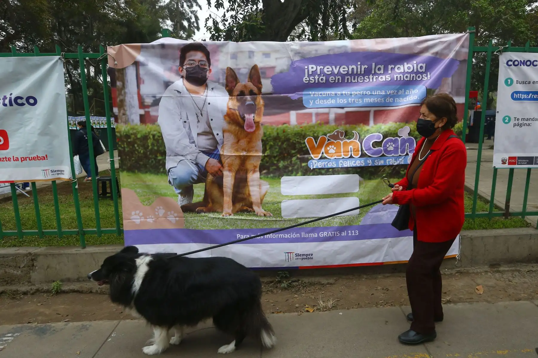 Con la finalidad de evitar la enfermedad de la rabia en canes y su transmisión a las personas y a otros animales susceptibles, el Ministerio de Salud (Minsa) realiza el lanzamiento de la campaña de vacunación antirrábica canina “Van Can 2022”, bajo el lema: “Perros felices y sin rabia”.
Foto: ANDINA/Eddy Ramos
