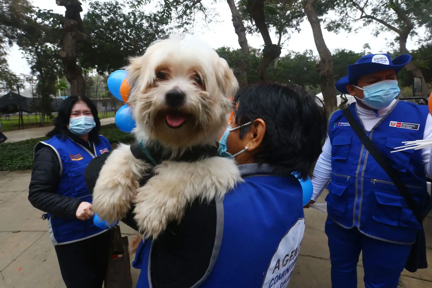Con la finalidad de evitar la enfermedad de la rabia en canes y su transmisión a las personas y a otros animales susceptibles, el Ministerio de Salud (Minsa) realiza el lanzamiento de la campaña de vacunación antirrábica canina “Van Can 2022”, bajo el lema: “Perros felices y sin rabia”.
Foto: ANDINA/Eddy Ramos