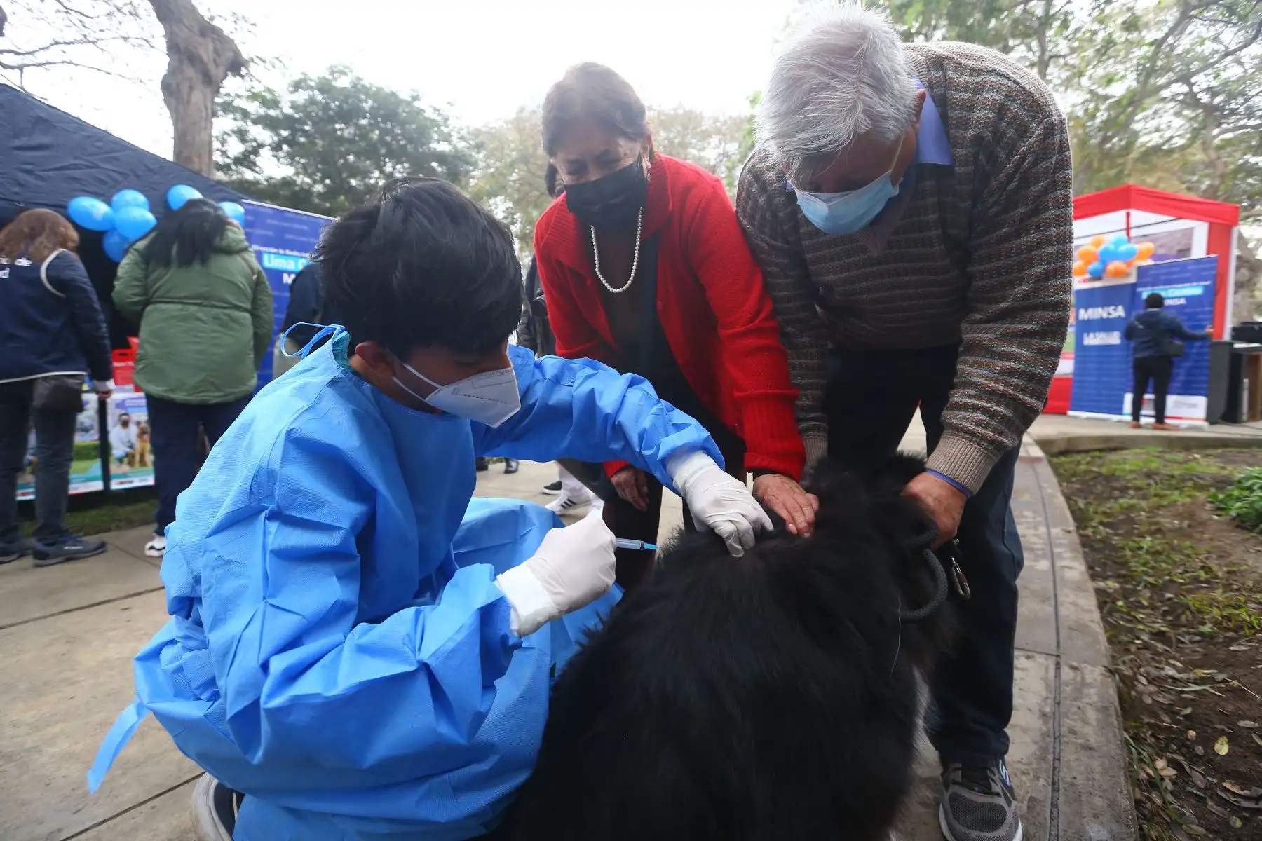 Con la finalidad de evitar la enfermedad de la rabia en canes y su transmisión a las personas y a otros animales susceptibles, el Ministerio de Salud (Minsa) realiza el lanzamiento de la campaña de vacunación antirrábica canina “Van Can 2022”, bajo el lema: “Perros felices y sin rabia”.
Foto: ANDINA/Eddy Ramos