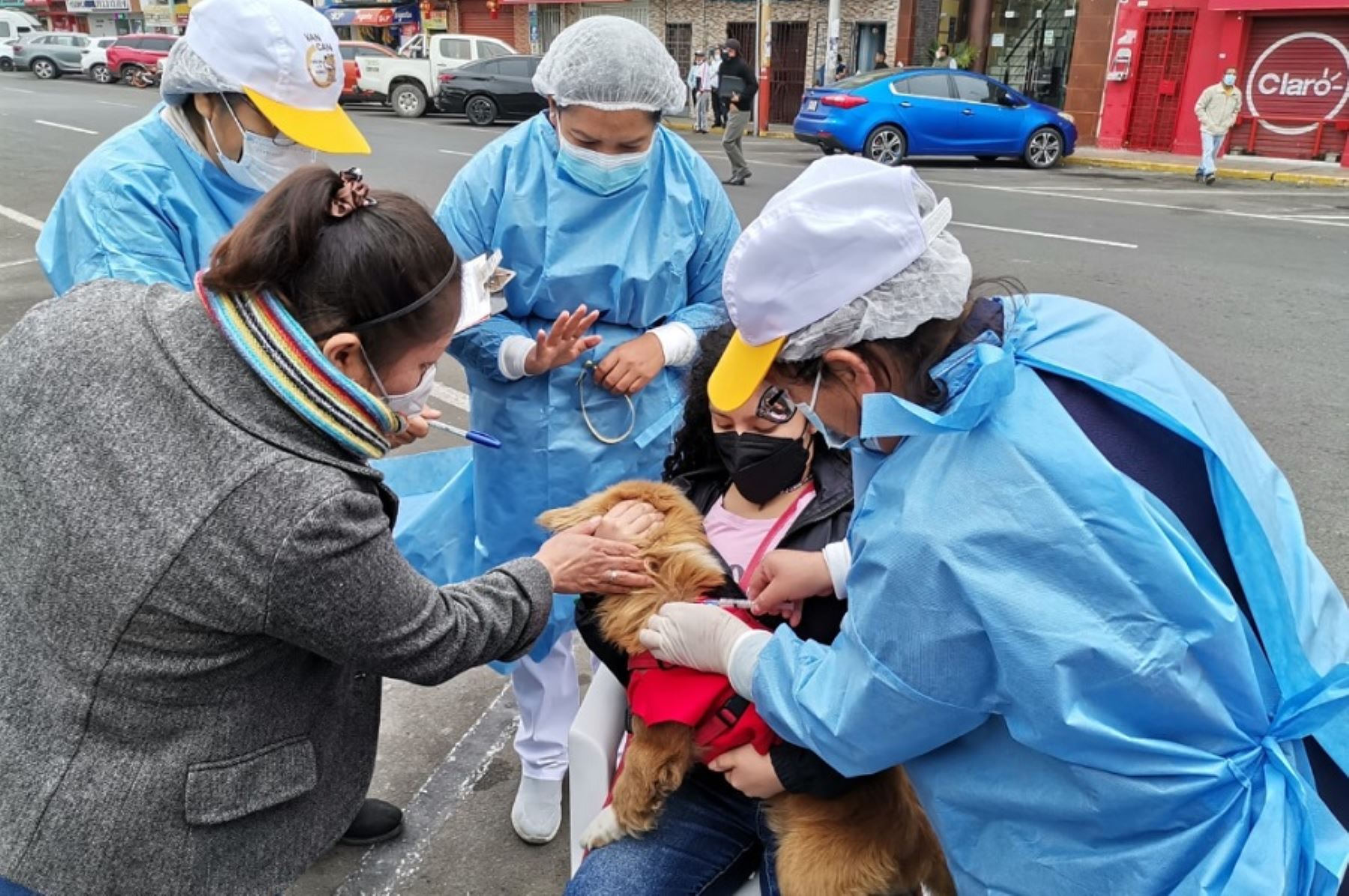 La Red de Salud Pacífico Norte estimó que más de 22,000 perros se estima vacunar contra la rabia canina en la ciudad de Chimbote, en el marco de la VanCan 2022 que se desarrolla a escala nacional y que concluye este fin de semana.
