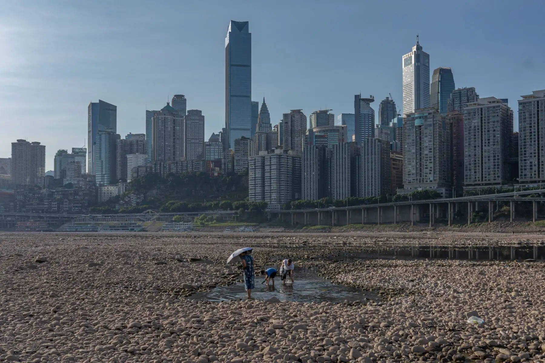 La gente camina sobre el lecho seco del río Jialing, un importante afluente del río Yangtze, en Chongqing, China. China está experimentando la sequía más severa y la ola de calor más larga en décadas.
Foto: AFP