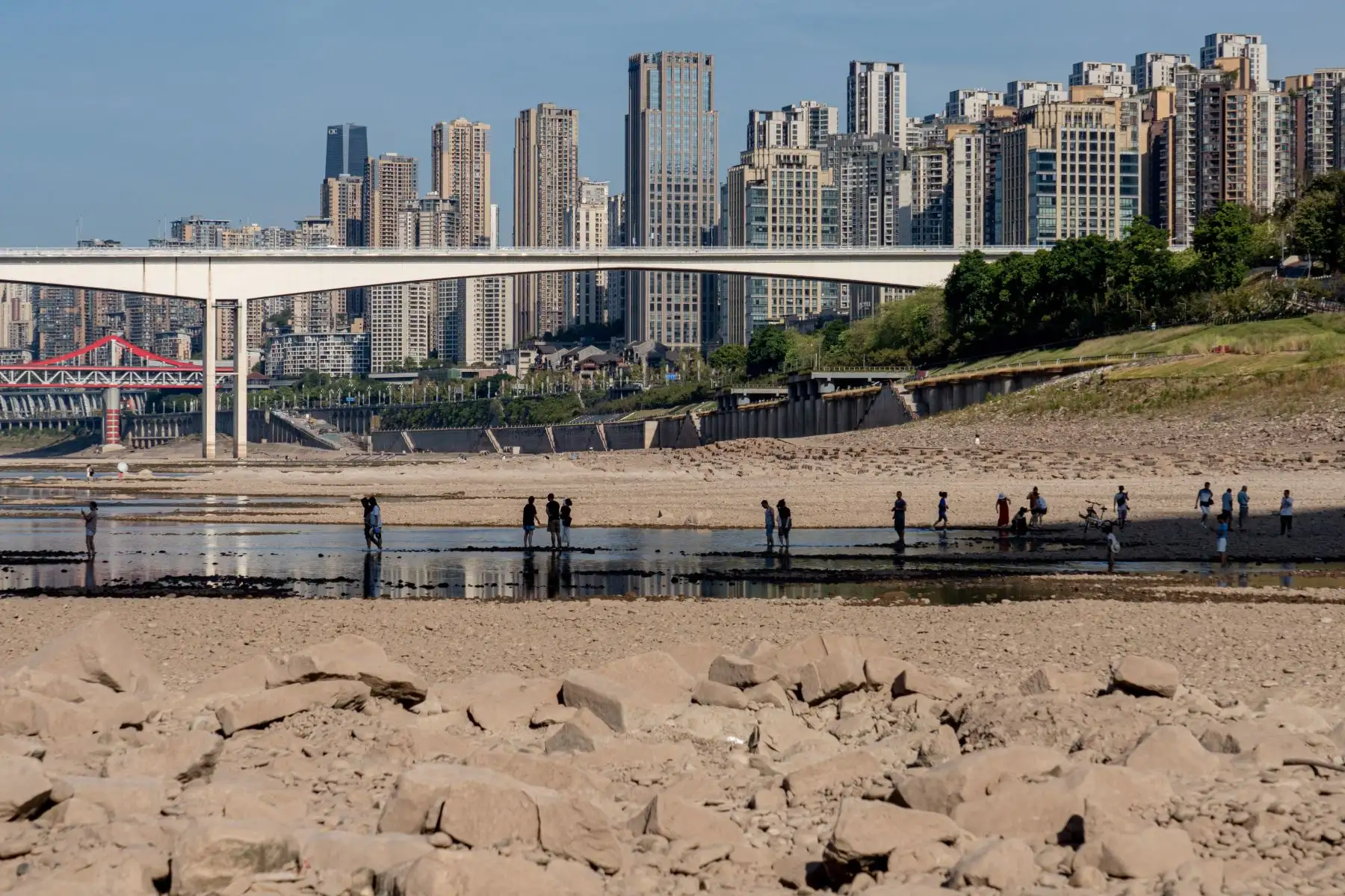 La gente camina sobre el lecho seco del río Jialing, un importante afluente del río Yangtze, en Chongqing, China. China está experimentando la sequía más severa y la ola de calor más larga en décadas.
Foto: AFP
