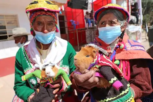 Saberes Productivos transforma en activos culturales los conocimientos que las personas beneficiarias han heredado de sus ancestros. Foto: ANDINA/Pensión 65
