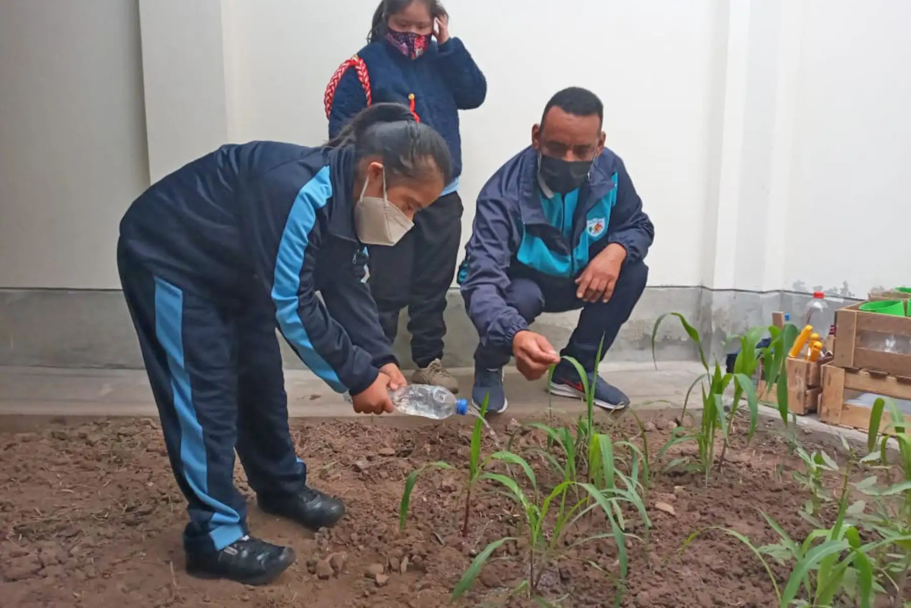 Estudiantes con discapacidad trabajan en un biohuerto. Foto: ANDINA/Difusión