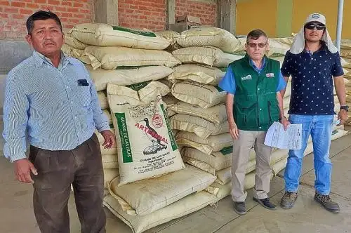 Un total de 1,200 sacos de guano de las islas, procedentes de Pisco, fueron comercializados por el Programa de Desarrollo Productivo Agrario Rural (Agro Rural), brazo ejecutor del Ministerio de Desarrollo Agrario y Riego, en beneficio de los productores agrícolas de distintos distritos de las provincias de Piura y Morropón.