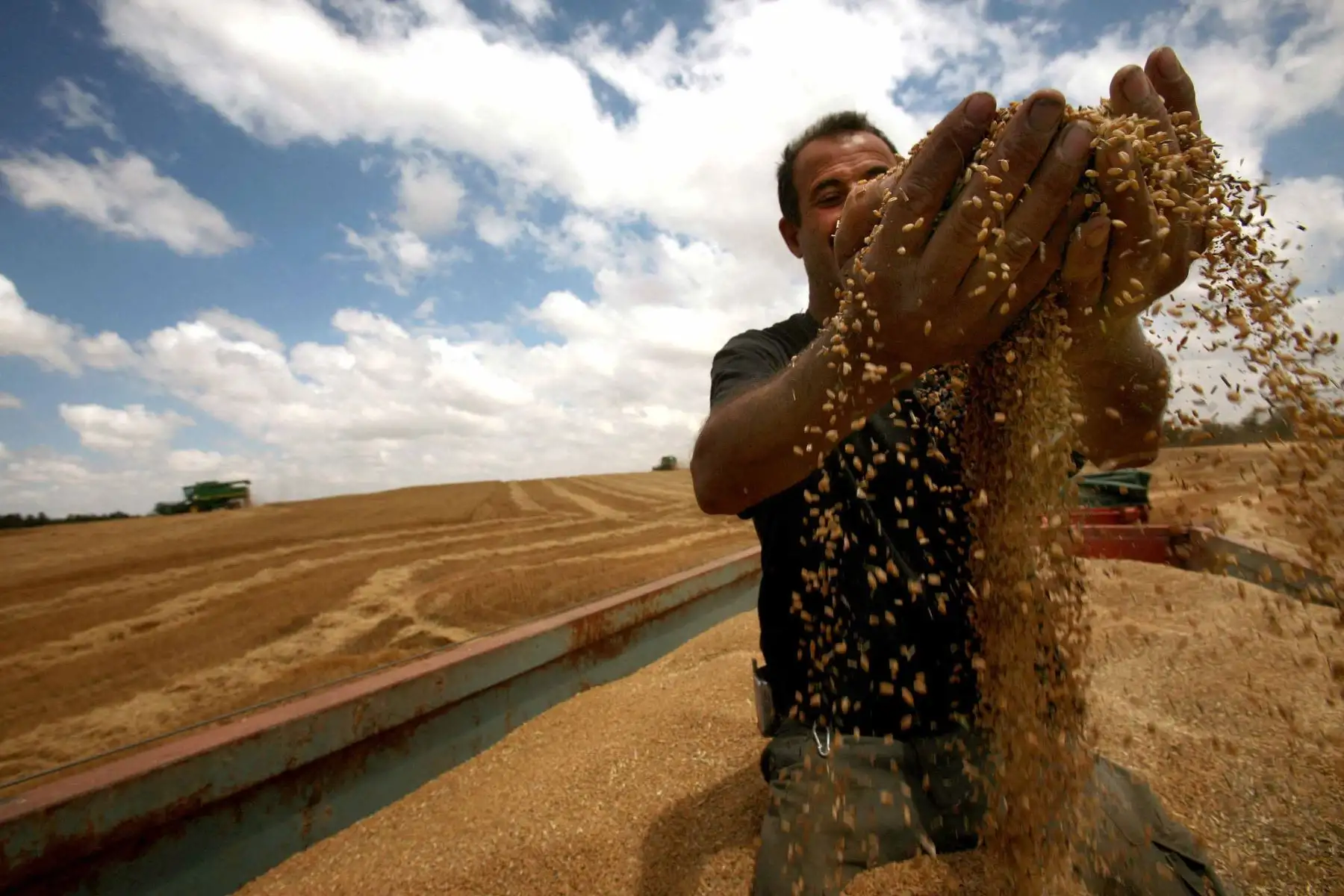 Siendo uno de los principales países exportadores del mundo en este rubro, la guerra en Ucrania alimentó los temores de una crisis alimentaria mundial. Foto: AFP