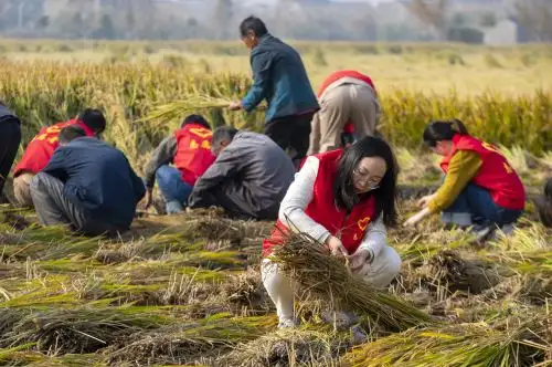 Los efectos del clima extremo llevaron a varias provincias chinas a racionar la electricidad para lidiar con la elevada demanda. Foto: AFP