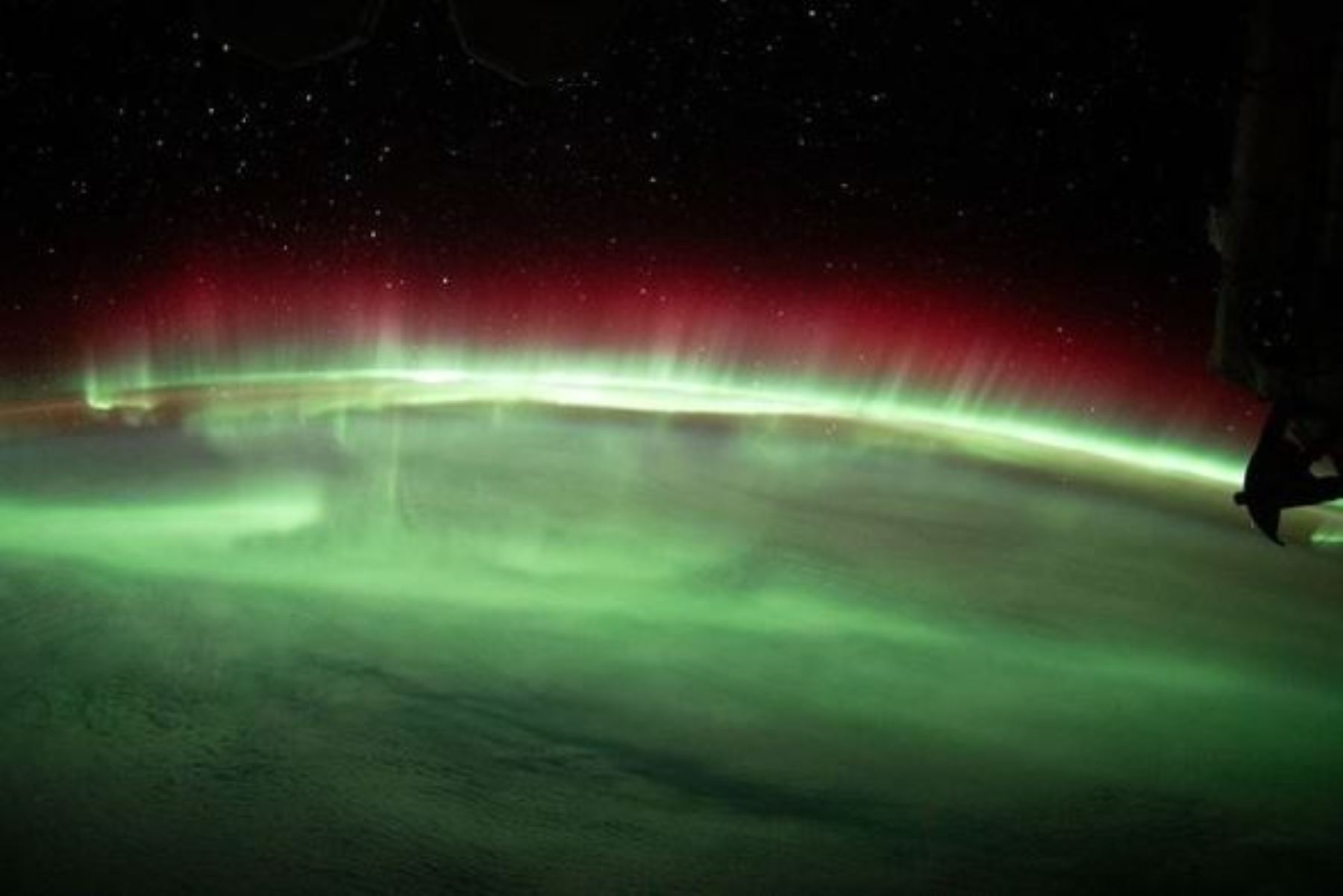 La aurora es una cautivadora exhibición de luz en el cielo nocturno. La aurora boreal y la aurora austral ocurren en los polos norte y sur. Foto: NASA