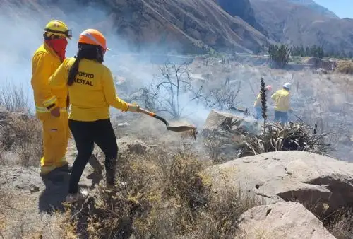 El Servicio Nacional de Áreas Naturales Protegidas por el Estado (Sernap), organismo adscrito al Ministerio del Ambiente, desarrolló el segundo curso de bombero forestal de la Reserva Paisajística Subcuenca del Cotahuasi, en el departamento de Arequipa, en el que se capacitó a 20 brigadistas para la atención de este tipo de emergencias.