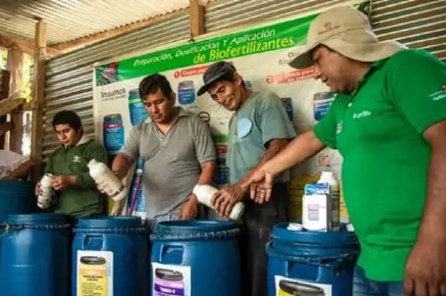 La escasez de fertilizantes para los cultivos alternativos en el Valle de los Ríos Apurímac, Ene y Mantaro (Vraem) motivó a que 3,449 productores cacaoteros y cafetaleros elaboren 134,400 litros de biofertilizante, bajo la asistencia técnica de Devida, a fin de mejorar la productividad y rendimiento en 5,363 hectáreas.