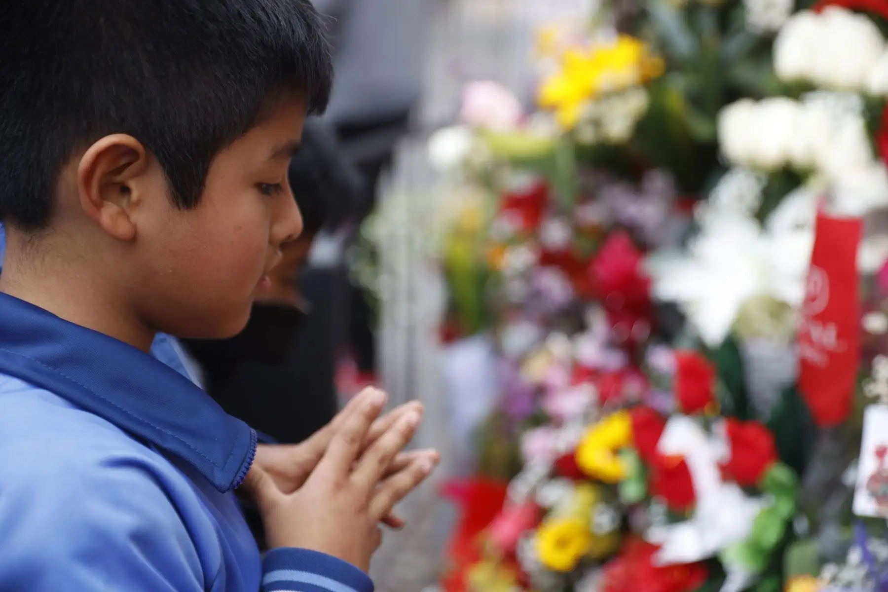 Niños y adultos se congregan en el pozo de los deseos, ubicado en el santuario de Santa Rosa de Lima, previa a la celebración en homenaje a Santa Rosa de Lima el 30 de agosto.
Foto: ANDINA/Melina Mejía