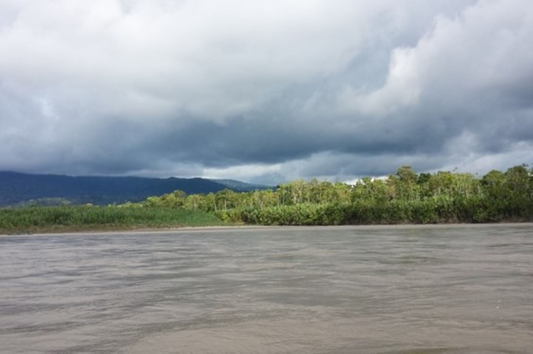 La propuesta de reserva comunal Ajutap abarca más de 57,000 hectáreas de Nieva, Manseriche, Barranca y Yambrasbamba, región Amazonas.