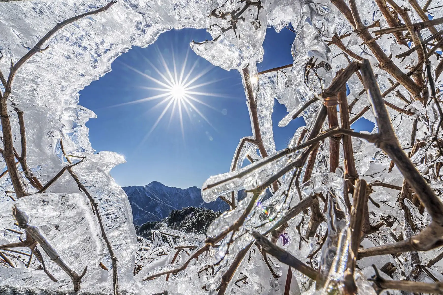 Aquí les mostramos la seleccion de las fotografías finalistas y ganadoras del premio anual Fotógrafo meteorológico del año 2022 de la Royal Meteorological Society, en asociación con AccuWeather. Foto: RMetS/Difusión