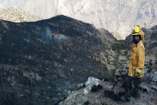 El fuego comsumió cobertura vegetal entre árboles de pino, arbustos chachacomos y pajonal.