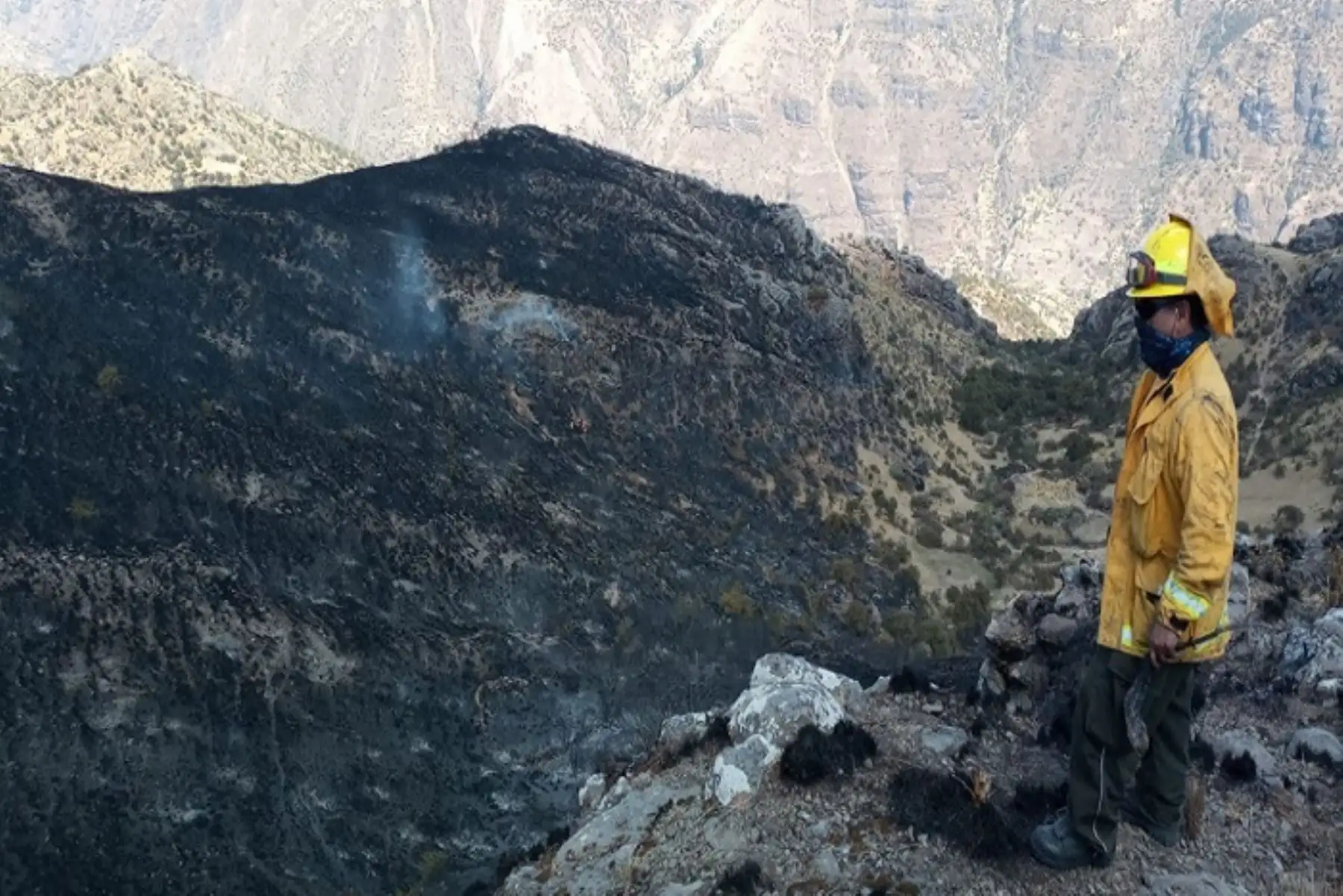 El fuego comsumió cobertura vegetal entre árboles de pino, arbustos chachacomos y pajonal.