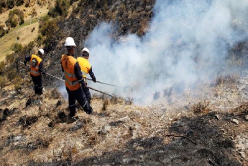 Brigadas extinguen cinco incendios forestales que se registraron en Cusco y Huancavelica. ANDINA/Difusión