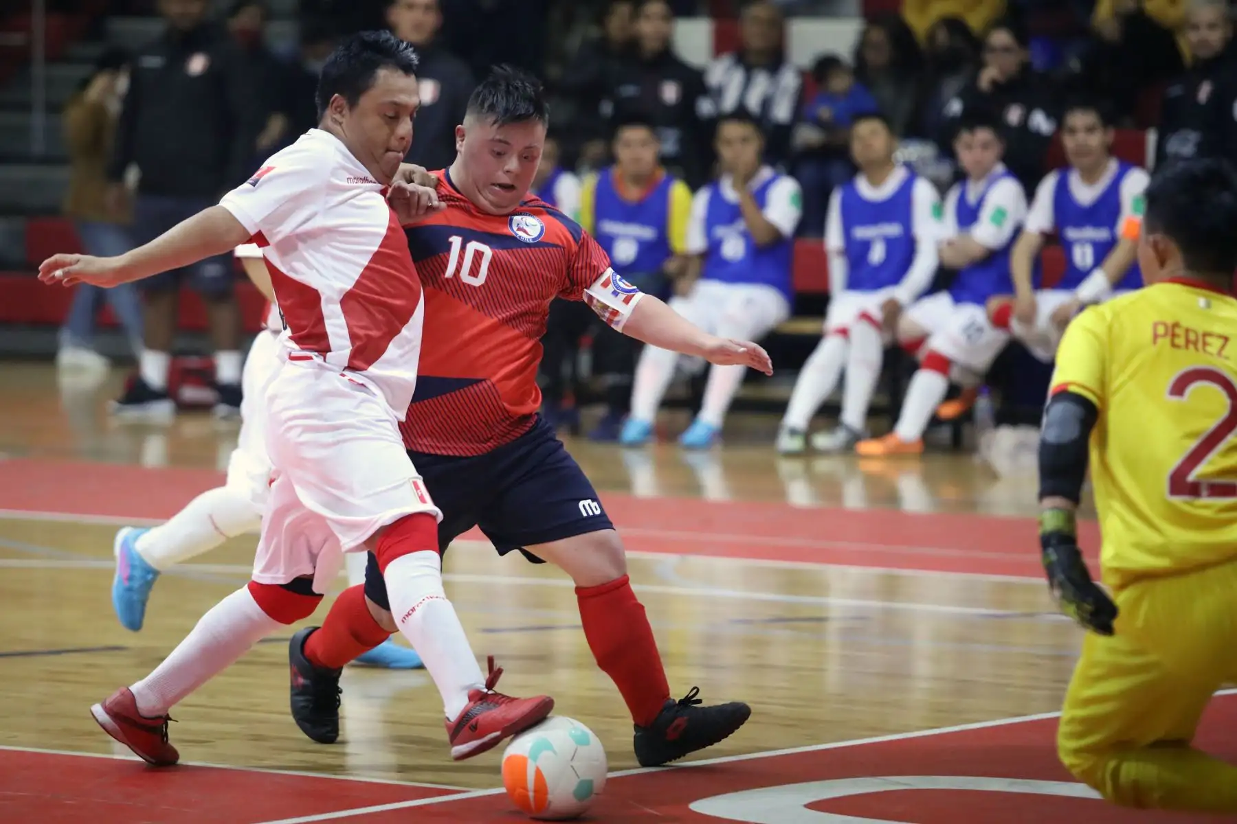 Perú se consagra campeón de Futsal Down. Durante dos días, el Polideportivo 1 de la sede Legado VIDENA se llenó de color y emoción con el “1er Clásico del Pacífico” jugado entre Perú y Chile. Las graderías se abarrotaron de familias enteras e hinchas 
 Foto: Legado