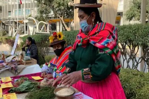 El programa de capacitación intercultural consta de seis módulos temáticos que contienen 11 sesiones, con un total de 24 horas.