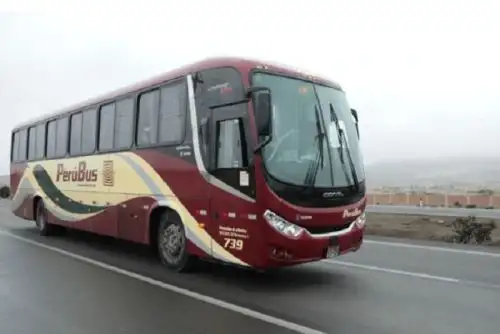 De no contar con la constancia de vacunación, los pasajeros también pueden presentar una prueba molecular negativa con fecha de resultado no mayor a 48 horas antes de abordar.