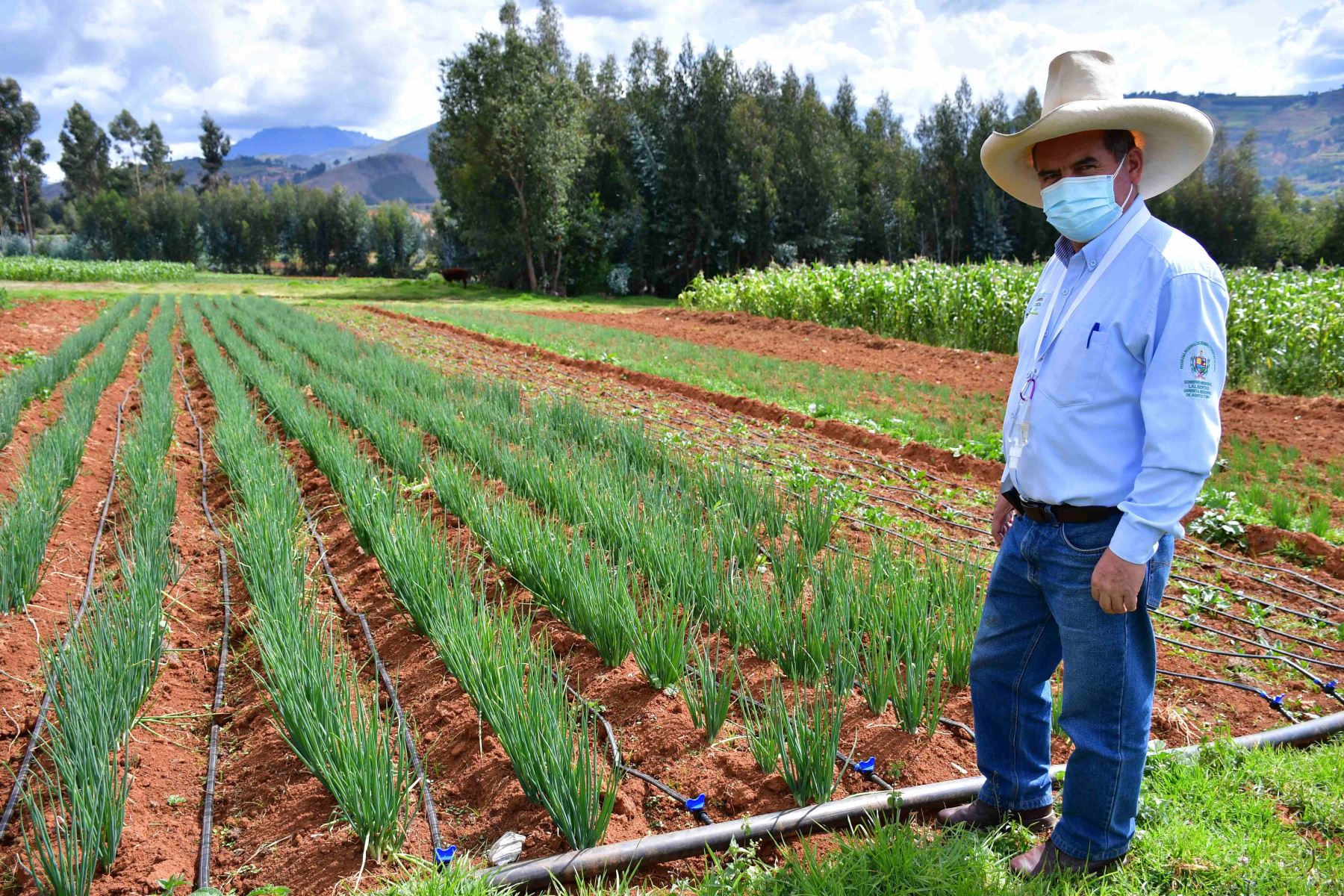 En la provincia liberteña de Otuzco se irrigarán 132 hectáreas de variados productos agrícolas como frutales, hortalizas y pastos.
