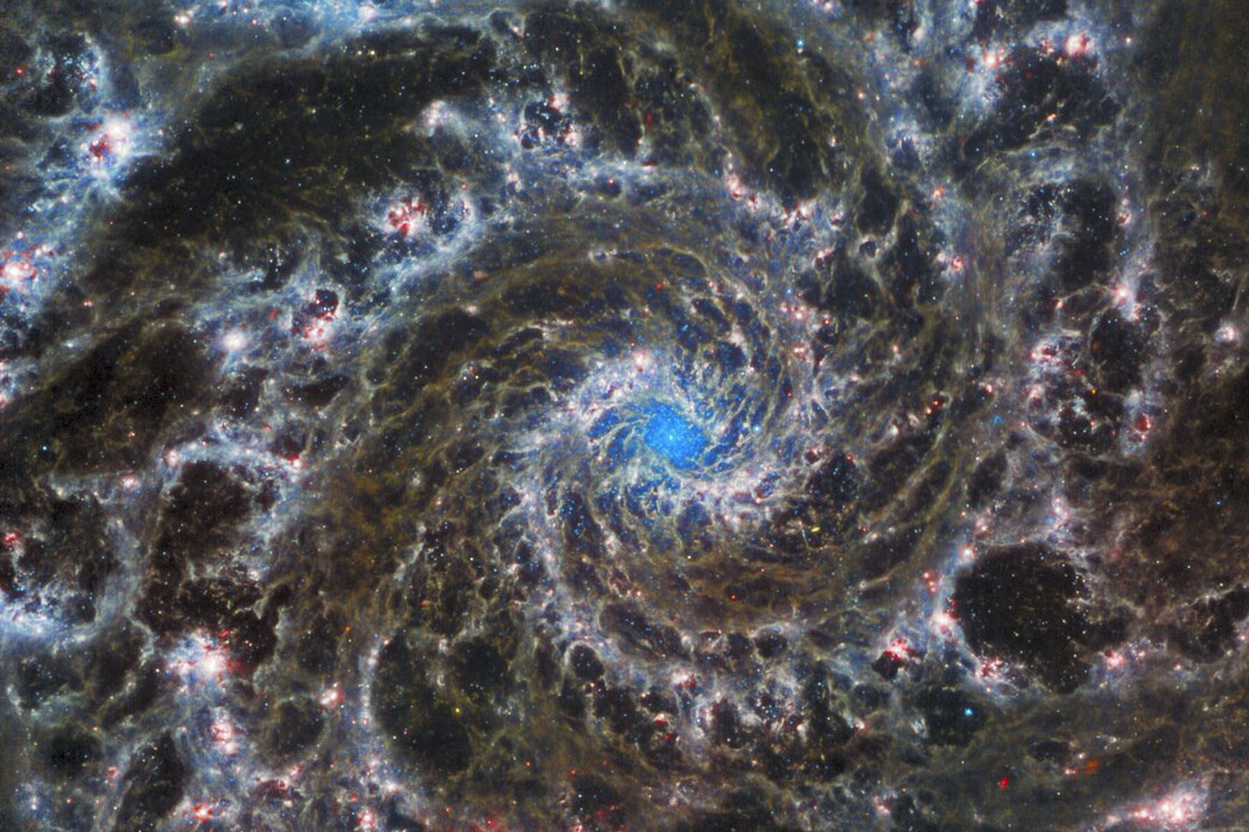 La imagen del telescopio espacial James Webb muestra el corazón de la Galaxia Fantasma. Foto: ESA/Webb, NASA & CSA, J. Lee y PHANGS-JWST Team; ESA/Hubble & NASA, R. Chandar, N. Bartmann
