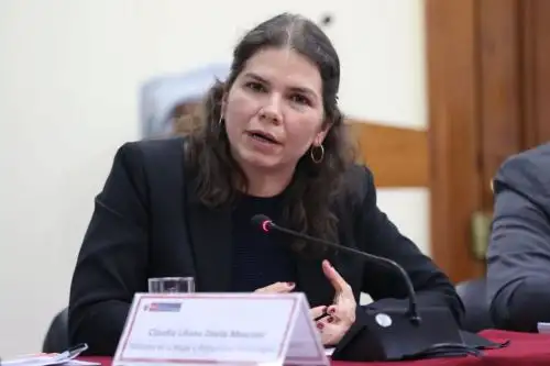 Foto: ANDINA/difusión.
