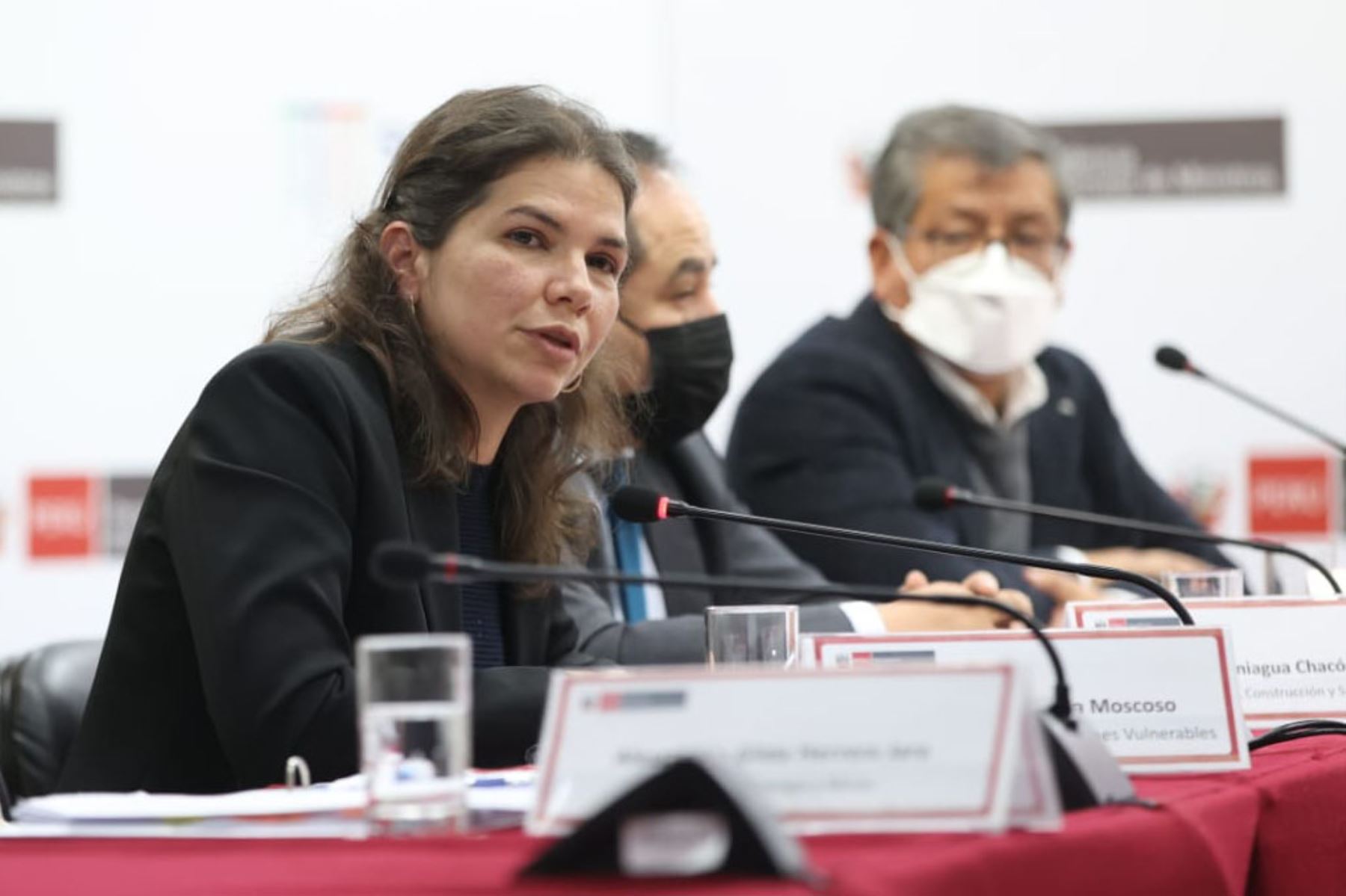 La ministra de la Mujer y Poblaciones Vulnerables, Claudia Dávila, dio detalles de lo que priorizará su gestión. ANDINA/ Andina