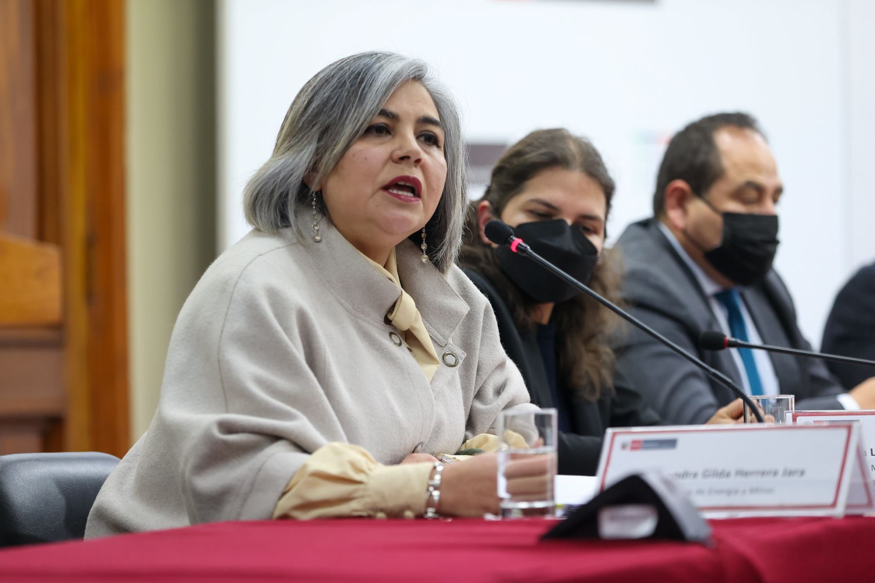 Ministra de Energía y Minas, Alessandra Herrera. Foto: PCM