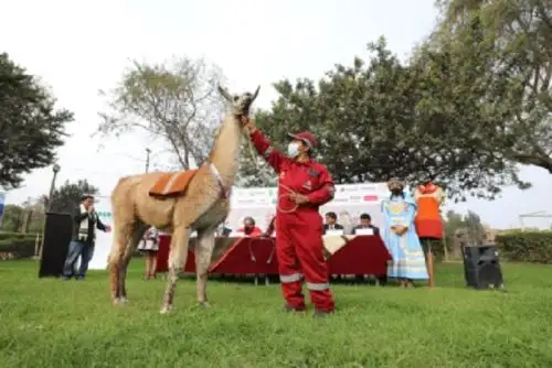 El Festicam Perú 2022 se desarrollará del 23 al 27 de setiembre en el campo ferial de Callqui Chico, en Huancavelica.