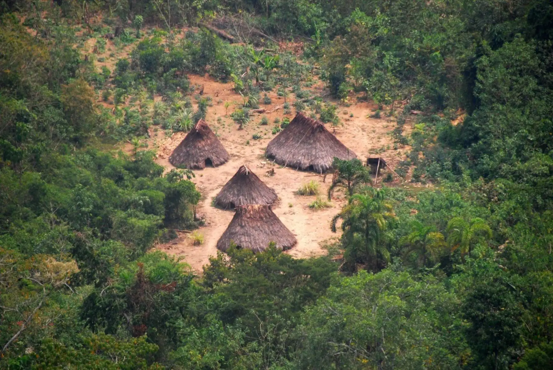 El Estado peruano reconoció la existencia de pueblos en aislamiento en pedido de creación de Reserva Indígena Napo, Tigre y Afluentes, ubicado en la región Loreto.