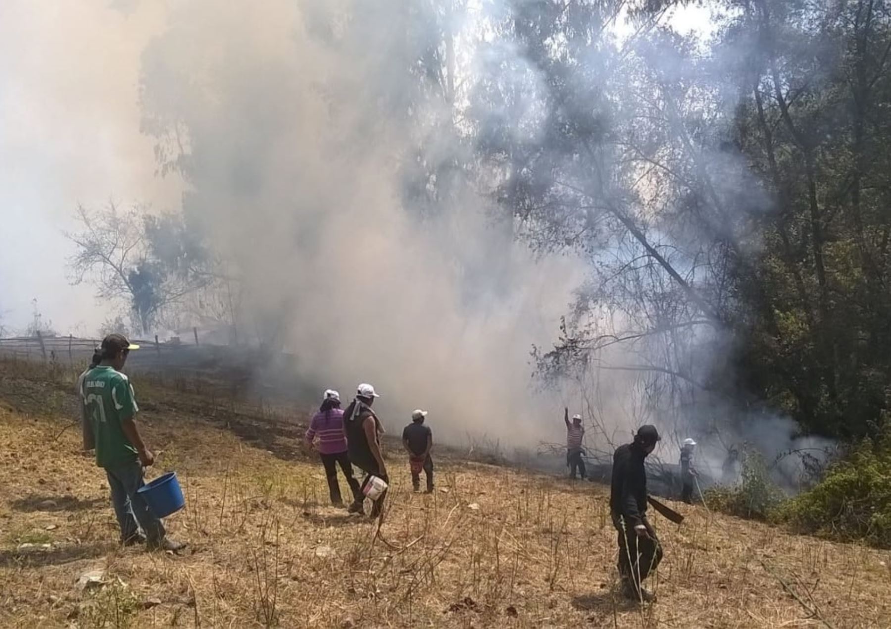 El ministro del Ambiente, Wilbert Rozas, exigió a las autoridades competentes actuar con mano dura para sancionar a quienes provoquen incendios forestales en distintas regiones del país. ANDINA/Difusión