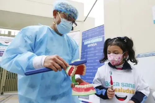 La campaña promoverá practicas saludables de higiene bucal entre la población, con especial énfasis en la primera infancia. Foto: ANDINA/Minsa.