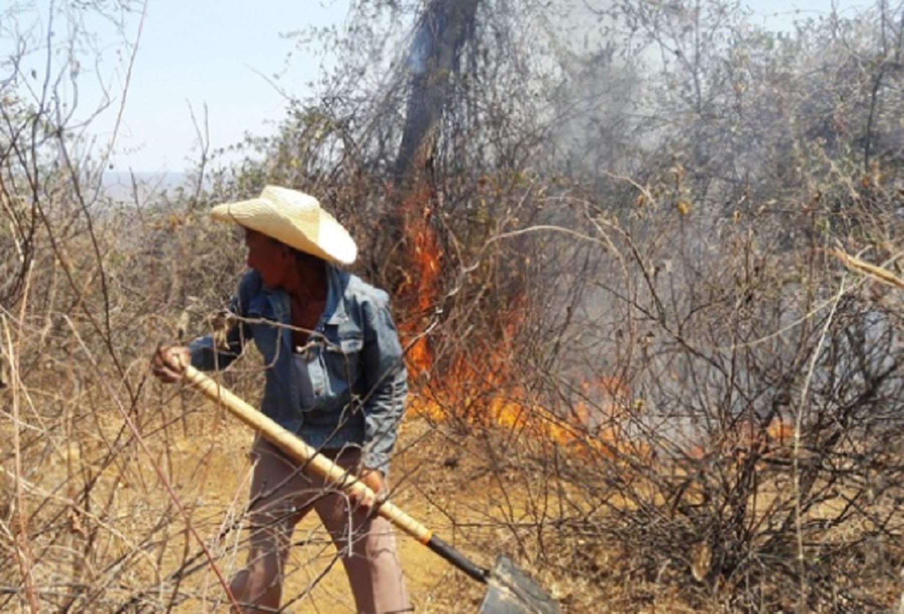 Más de 120 autoridades del departamento de Áncash participaron en el cuarto módulo de promoción de alternativas para no quemar, como parte del curso “Gestión de riesgos ante incendios forestales”, desarrollado por el Servicio Nacional Forestal y de Fauna Silvestre.