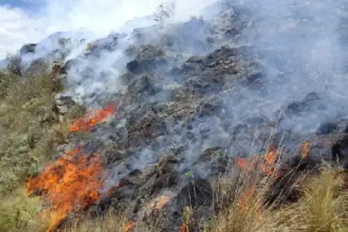 El titular del Minam, Wilbert Rozas, demandó a las autoridades judiciales aplicar la máxima sanción contra los autores de incendios forestales. ANDINA/Difusión