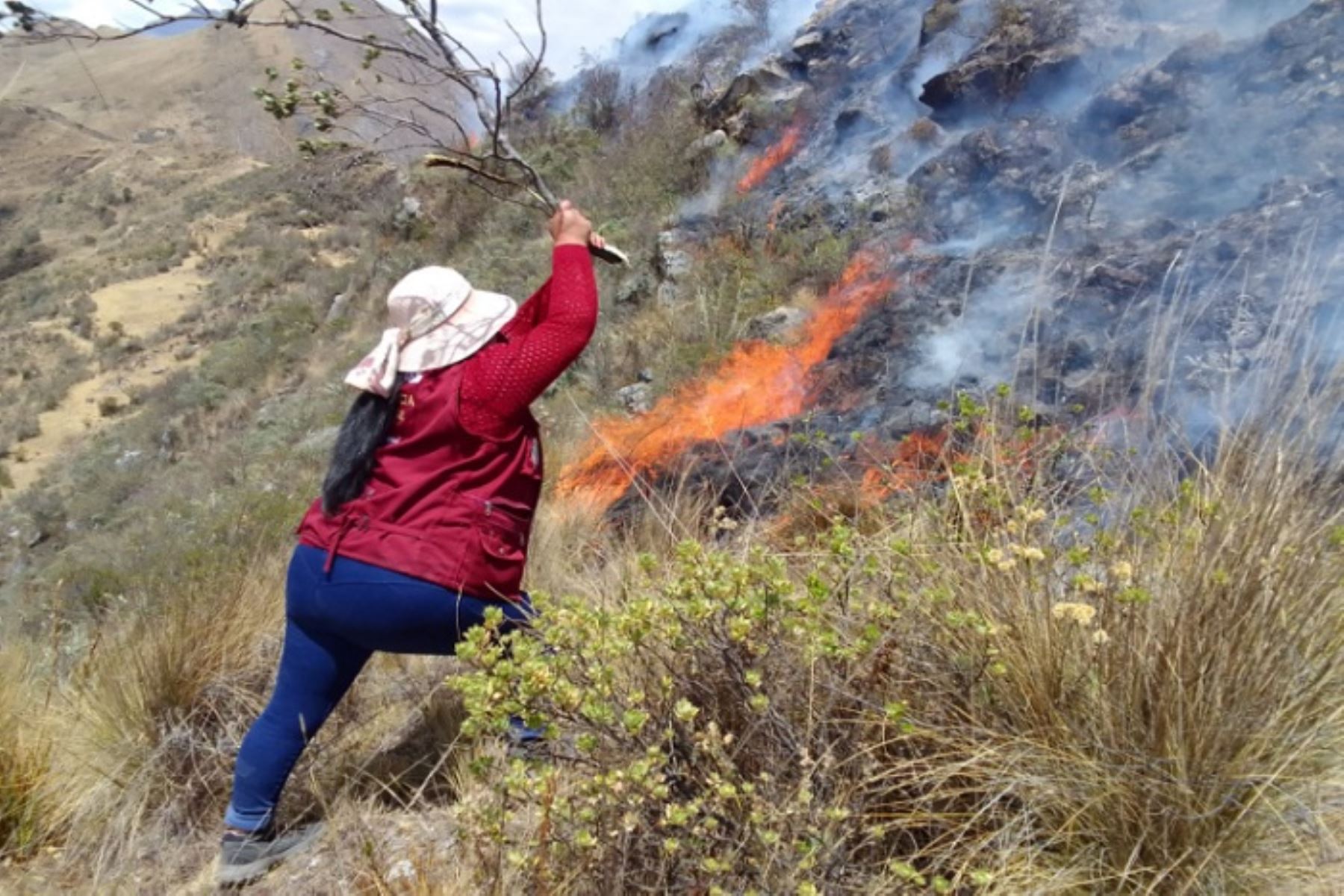 Incendio forestal en distrirto ancashino de Huachis daña pastos naturales y cultivos