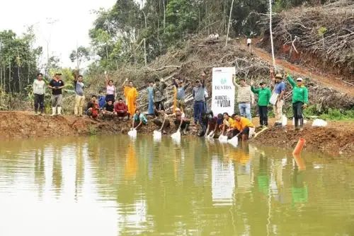 Vraem: Devida y municipio de Pangoa iniciaron siembra de más de 150,000 alevinos.