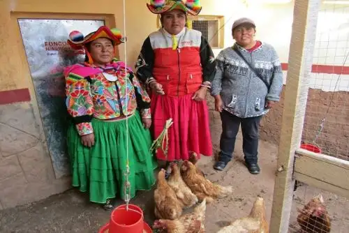Puno: más de 24,000 familias fortalecieron sus capacidades con Haku Wiñay de Foncodes
